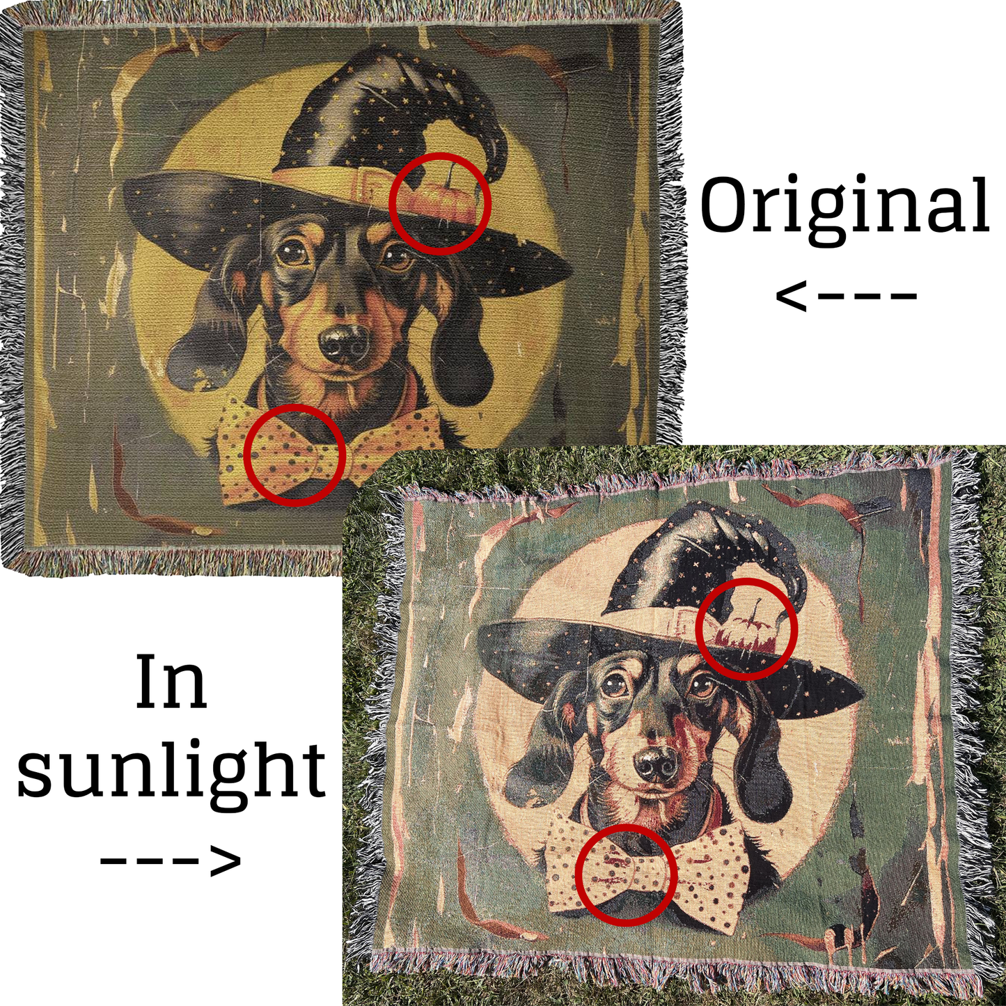 "Proud" Wire-Haired Dachshund Black & White Linocut Woven Blanket