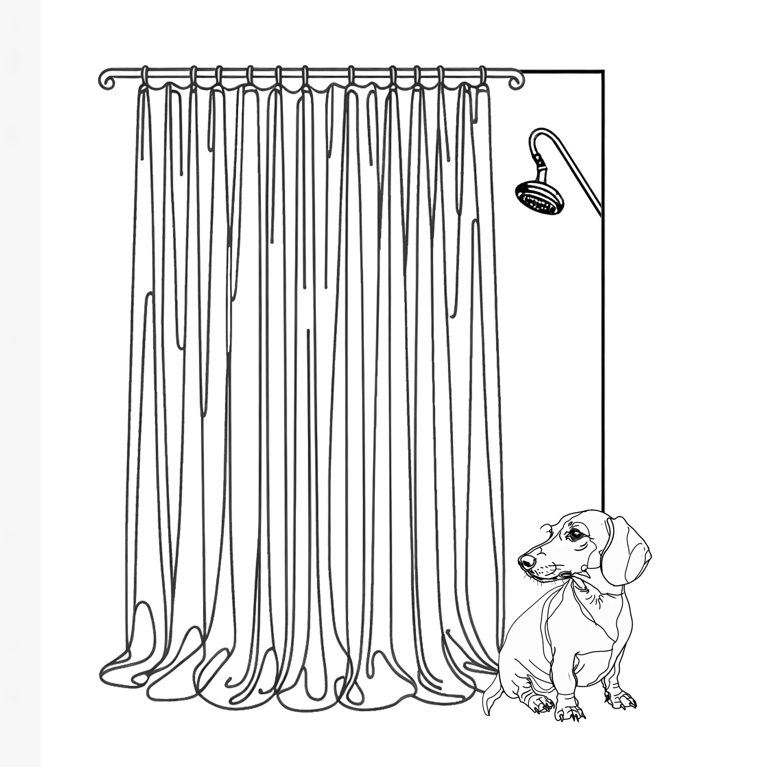 Shop All: Shower Curtains